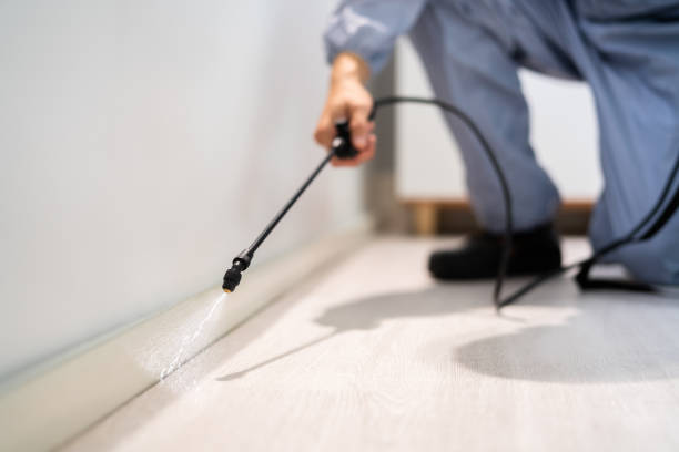Licensed Rodent Control service in Saxon, SC - Nex Pest Control