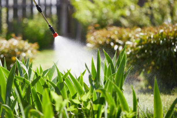 24/7 Emergency Rodent Control experts in Saxon, SC